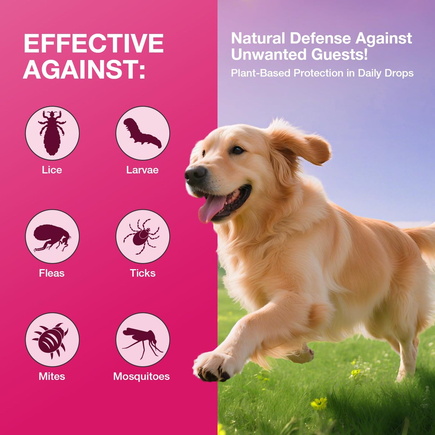 ASISTNETY Flea & Tick Support for Dogs, Natural Dog Flea Liquid Drops, Flea & Tick Supplement with Vitamins & Fish Oil for Dogs