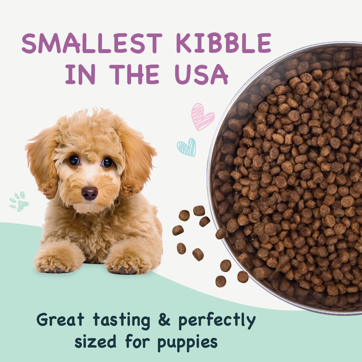 Health Extension Little Bites Chicken & Brown Rice Puppy Food – 3.5 lb Bag – Fresh Chicken First Ingredient with 30+ Superfoods – Natural, Complete & Balanced Nutrition for Small Breed Puppies