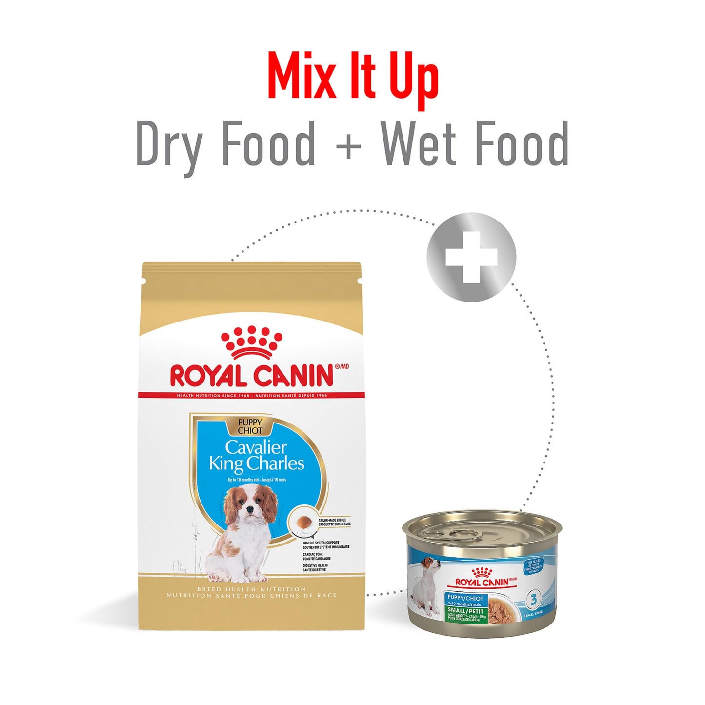 Royal Canin Breed Health Nutrition Cavalier King Charles Spaniel Puppy Dry Dog Food, 3 lb Bag