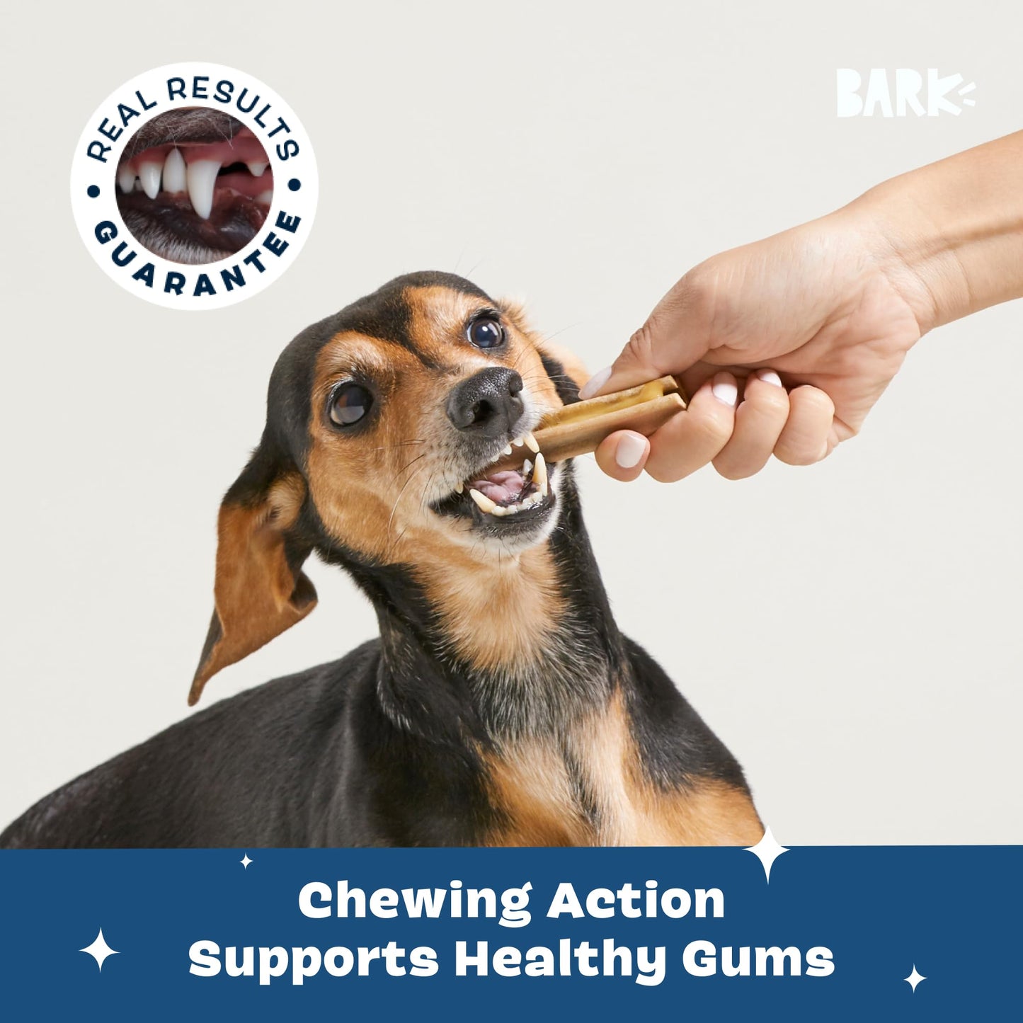 Barkbox Bright Original Dog Dental Kit, 30 Teeth Cleaning Chew Sticks & Toothpaste - Small Breeds