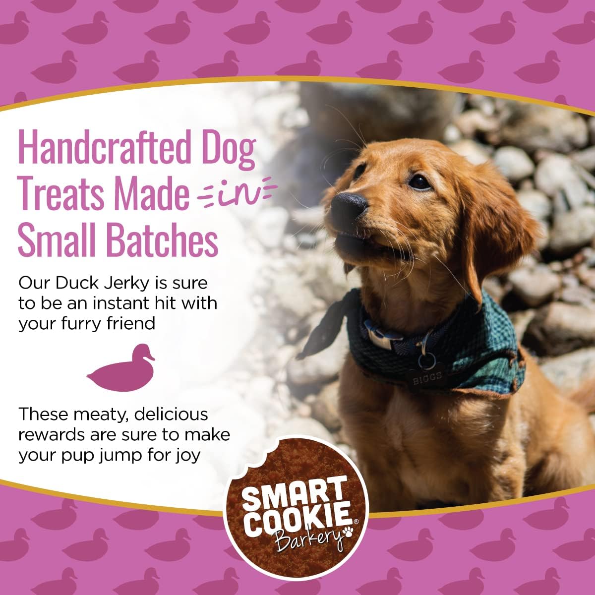 Smart Cookie Duck Jerky Dog Treats with Flax Seed, Omega Oils- Hypoallergenic Strips for Dogs and Puppies with Allergies, Sensitive Stomachs - Dehydrated, Grain Free, Made in USA - 3oz Bag, Pack of 3