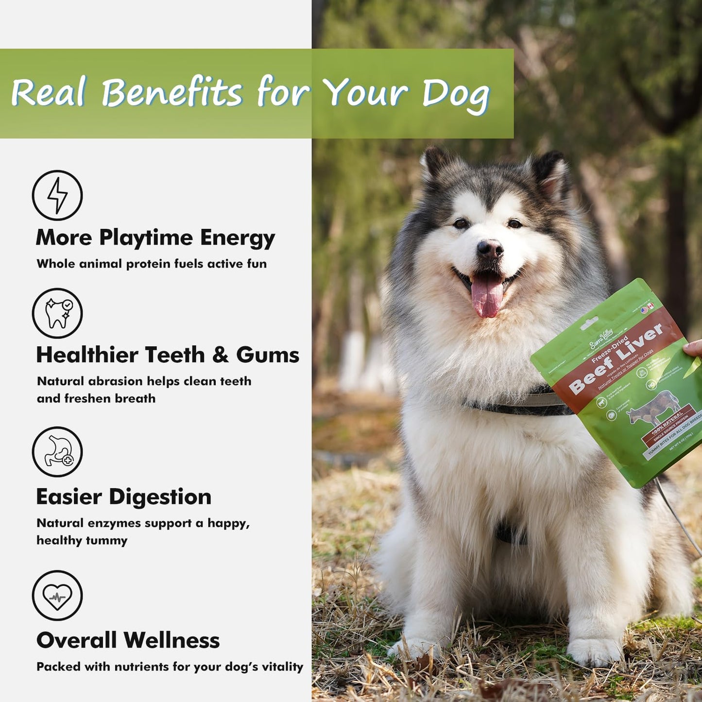 SIERRA VALLEY Freeze-Dried Beef Liver Dog Treats, High Iron Human-Grade Protein Bites, 2cm Chewy Cubes for Training Rewards, No Additives Grain-Free, Resealable Freshness Pouch 6oz