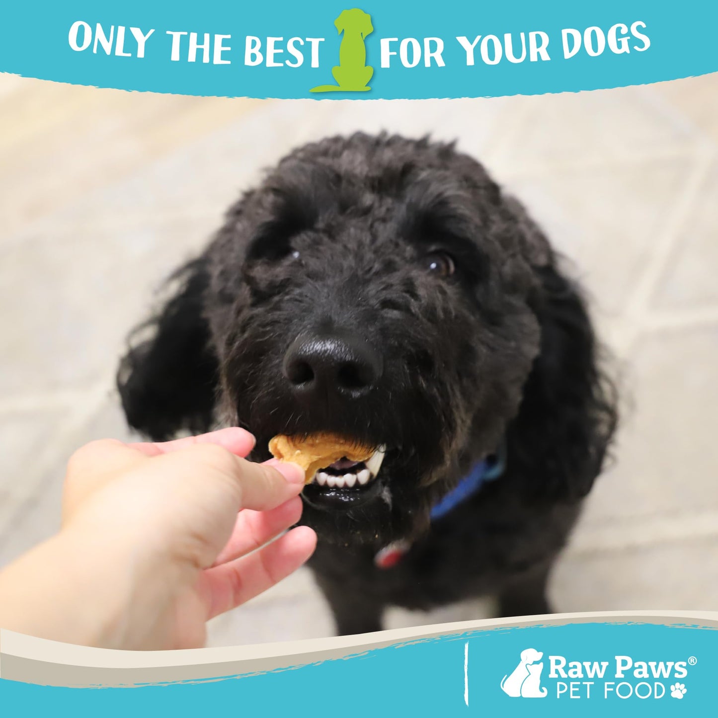 Raw Paws Soft Bone Shaped Dog Jerky Treats for Dogs - Peanut Butter & Chicken Recipe (16-Ounce) - Made in USA - Chicken Jerky Dog Treats - Soft Puppy Training Treats