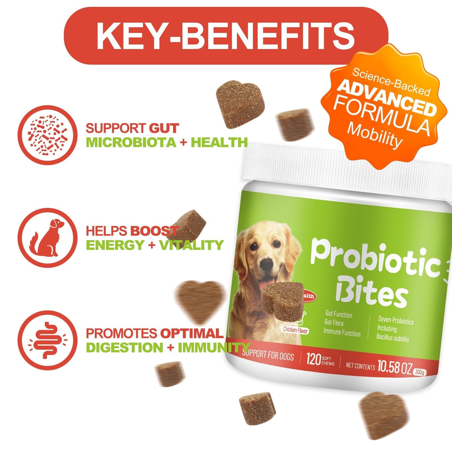 Bryozoa Probiotics for Dogs - Dog Probiotic Chews for Digestive Health, Gut Support, & Immune Boost - Dog Probiotics with Digestive Enzymes & Prebiotics - 120 Probiotic Chews for Dogs