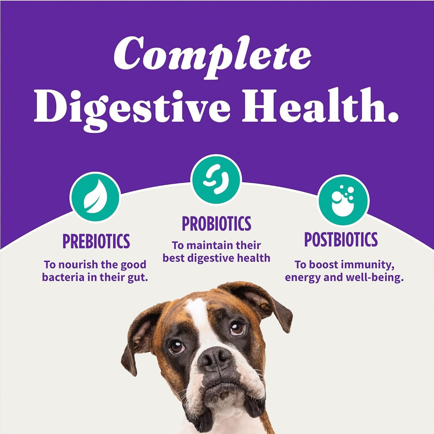 Halo Holistic Vegan Dog Food, Plant-Based Recipe with Kelp, Dry Dog Food, Complete Digestive Health, Kibble for Adult Dogs, 21 lb Bag