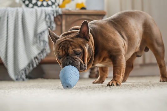 Harry Barker Durable Rubber Treater Toy - Medium