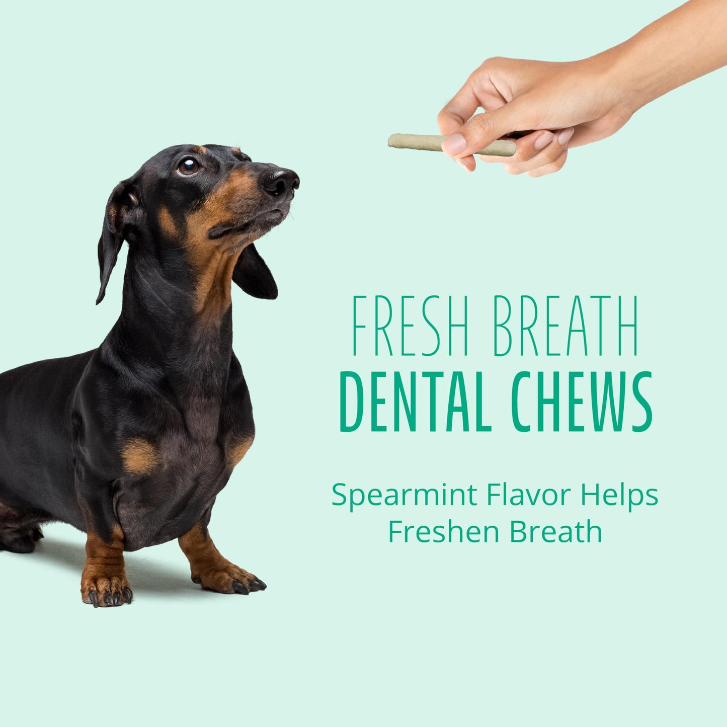 Doctor Spotty Dog Dental Chews, Wholesome, Healthy Dog Chews, Natural and Grain-Free, Made in The USA (Pumpkin Spice, 31 Ct)
