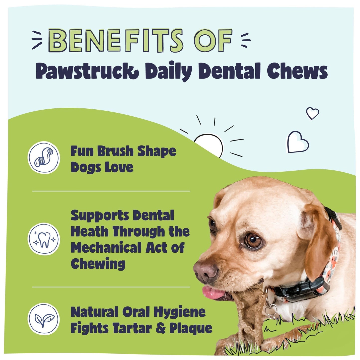 Pawstruck Natural Dental Chews for Small Medium Dogs & Puppies - Vet Recommended Brush Stick Treats Made in USA Breath Freshener to Improve Oral Hygiene & Clean Teeth - 15 Count - Packaging May Vary