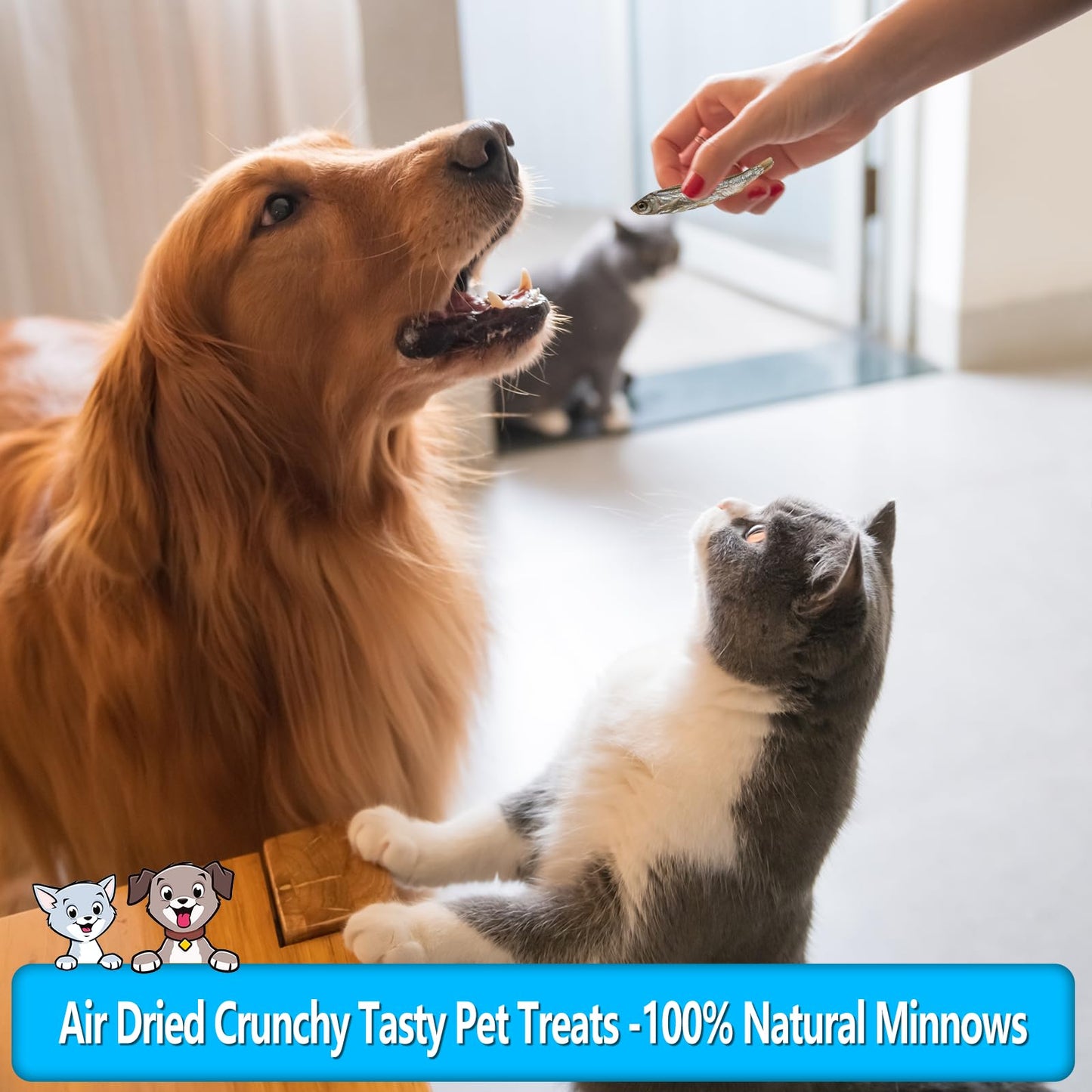 K9 Connoisseur Single Ingredient Dog Bones Made In USA For Large Breed Aggressive Chewers All Natural Long Lasting Meaty Mammoth Marrow Filled Bone Chew Treat Best For Dogs Over 50 LBS -Goliath 1 Pack