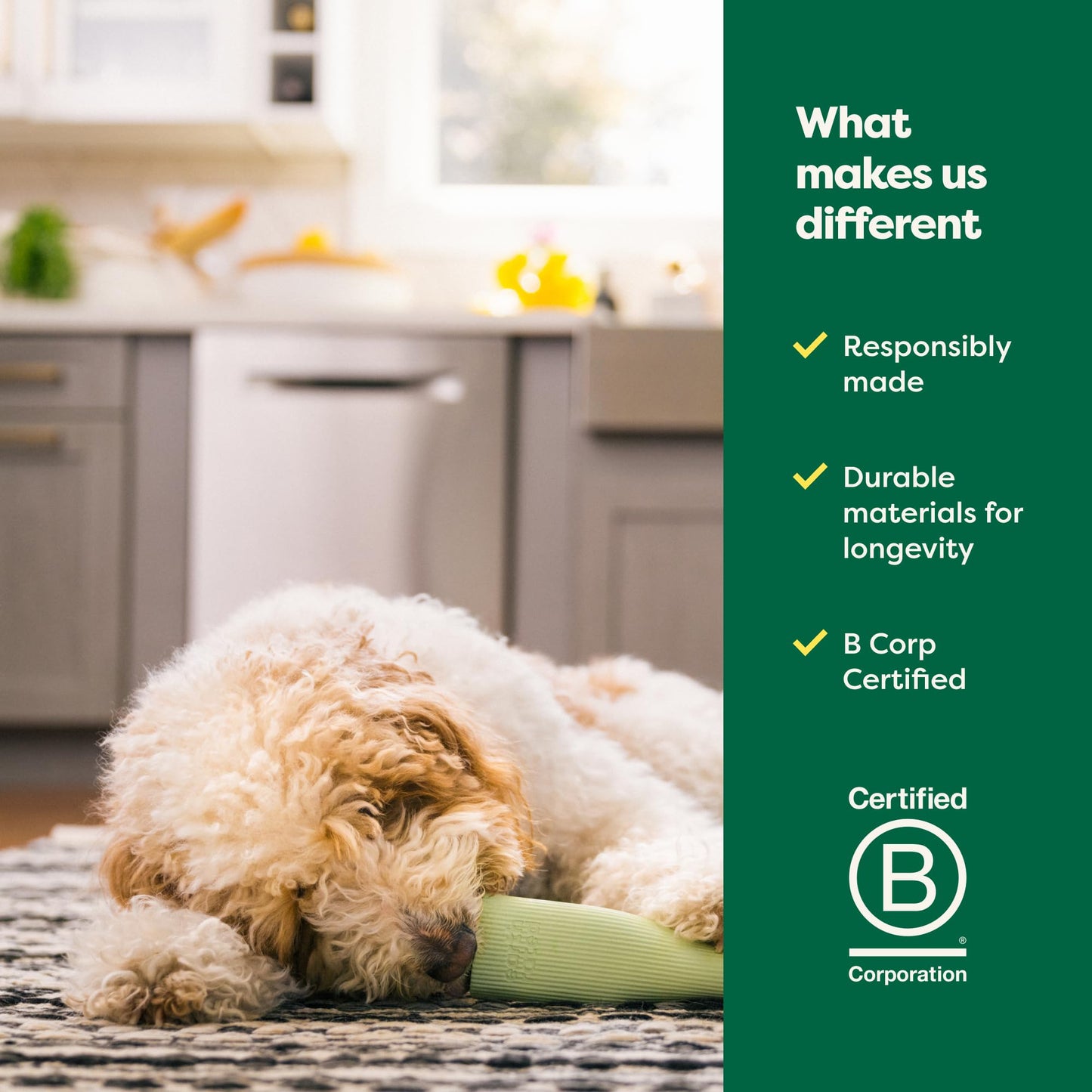 Earth Rated Dog Toy, Enrichment Toys for Adult and Puppy Dogs, Dishwasher and Freezer-Safe, Natural Rubber, Small, Green