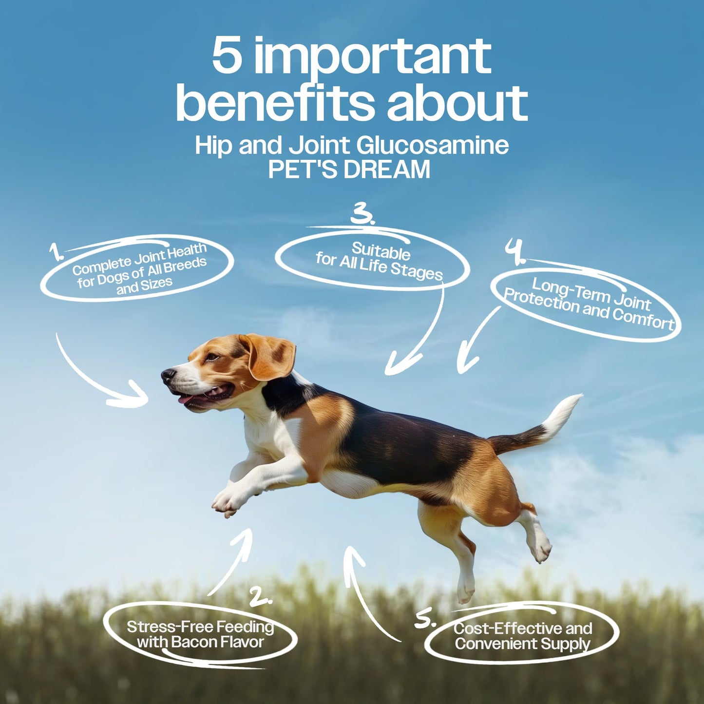 PET'S DREAM Hip and Joint Glucosamine for Dogs, Senior Advanced Joint Supplement for Dogs with Chondroitin & MSM, Dog Hip and Joint Supplement Large & Small Breed, Bacon Flavor, 130 Chews