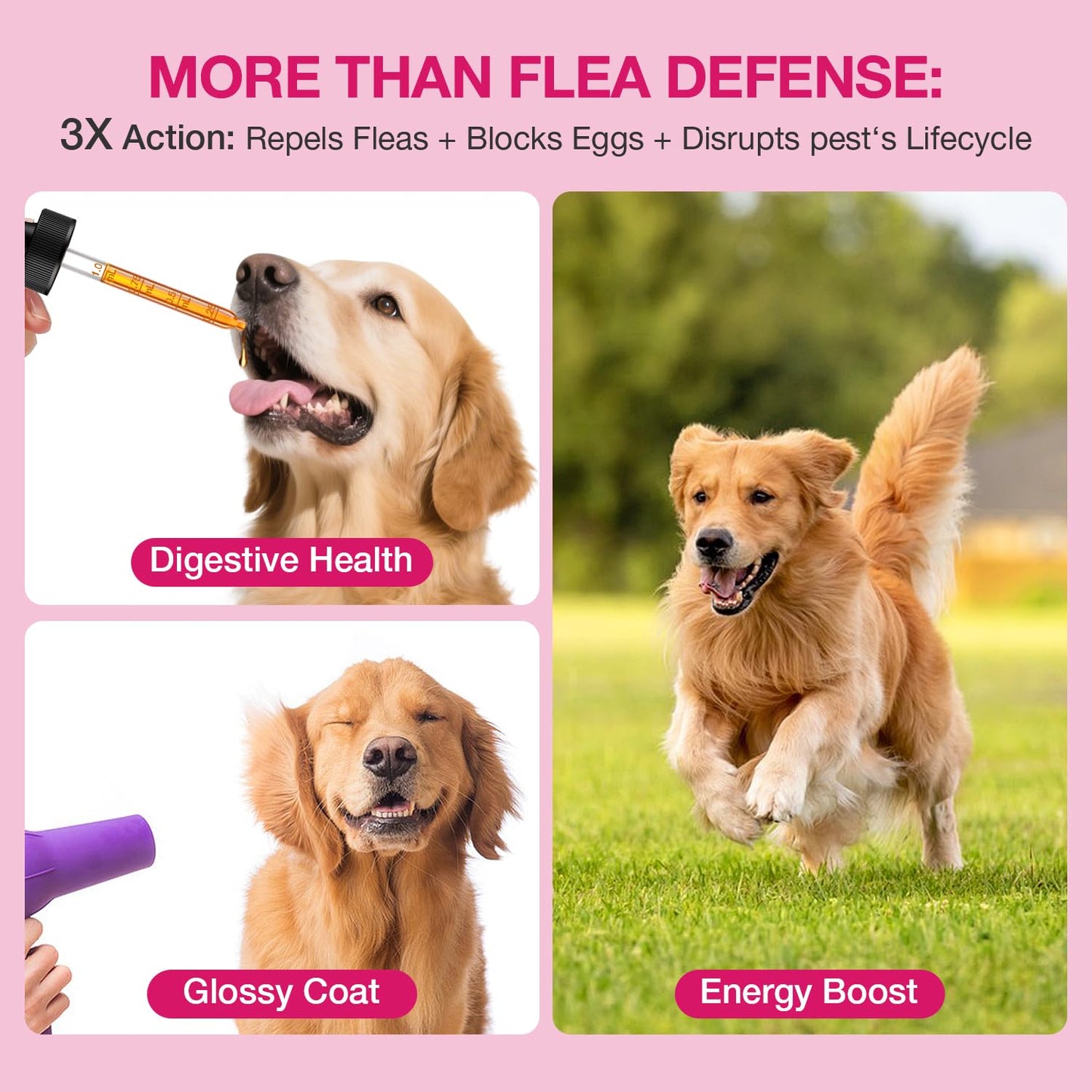 ASISTNETY Flea & Tick Support for Dogs, Natural Dog Flea Liquid Drops, Flea & Tick Supplement with Vitamins & Fish Oil for Dogs