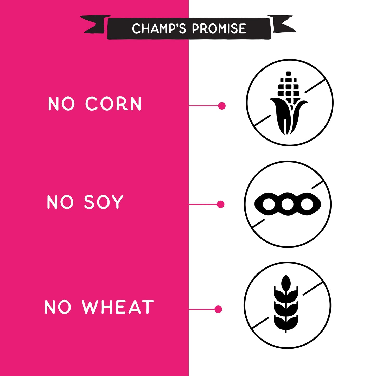 CHAMPS Soft Healthy Dog Treats for Skin & Coat Support Made with Omega 3, Biotin & Flaxseed - Grain Free Salmon - 16 oz