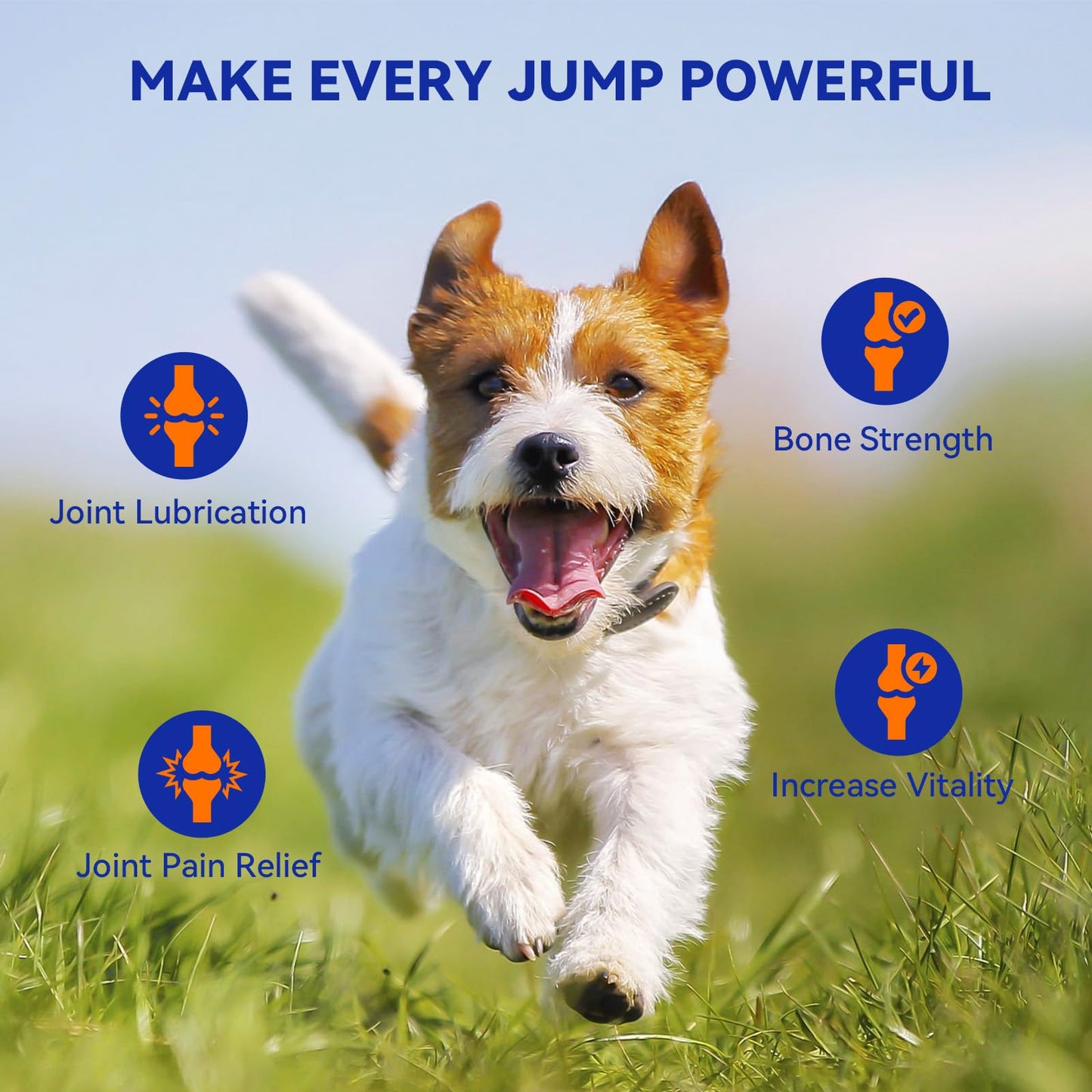 Pointail Dog Joint Supplement Large Breed, Glucosamine for Dogs Chondroitin, MSM, Green-Lipped Mussel Hip & Joint Care Dog Pain Relief Anti Inflammatory, Senior Cartilage Bone Health Mobility Chew