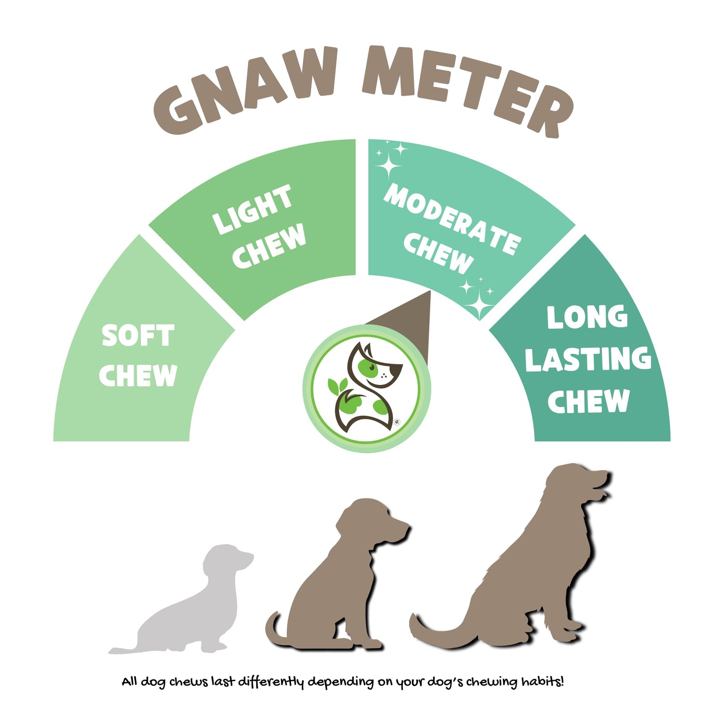 Nature Gnaws Beef Trachea Chews for Dogs 6" (6 Count) - Long Lasting Natural Crunchy Dog Chew Bones - Rawhide Free