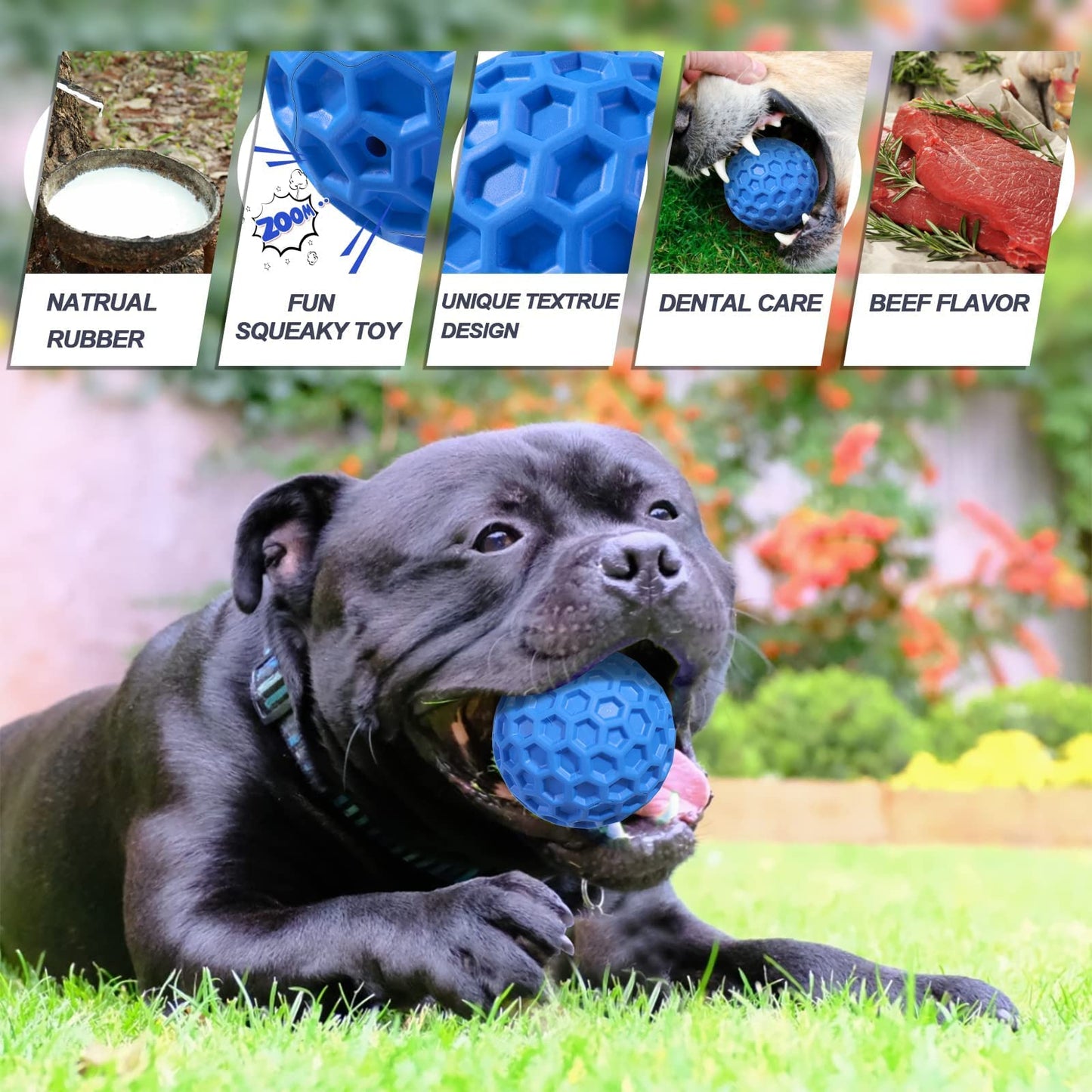 Putago Squeaky Dog Balls, Indestructible Dog Toys for Aggressive Chewers Large/Medium Breed, Natural Rubber Interactive Chew Toys for Teeth Clean, Relieves Anxiety (Blue)
