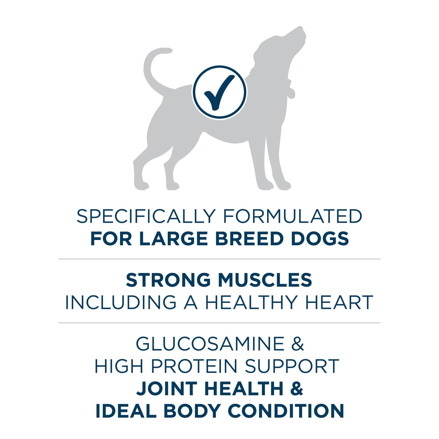 Purina ONE Plus Large Breed Adult Dog Food Dry Formula - 40 lb. Bag