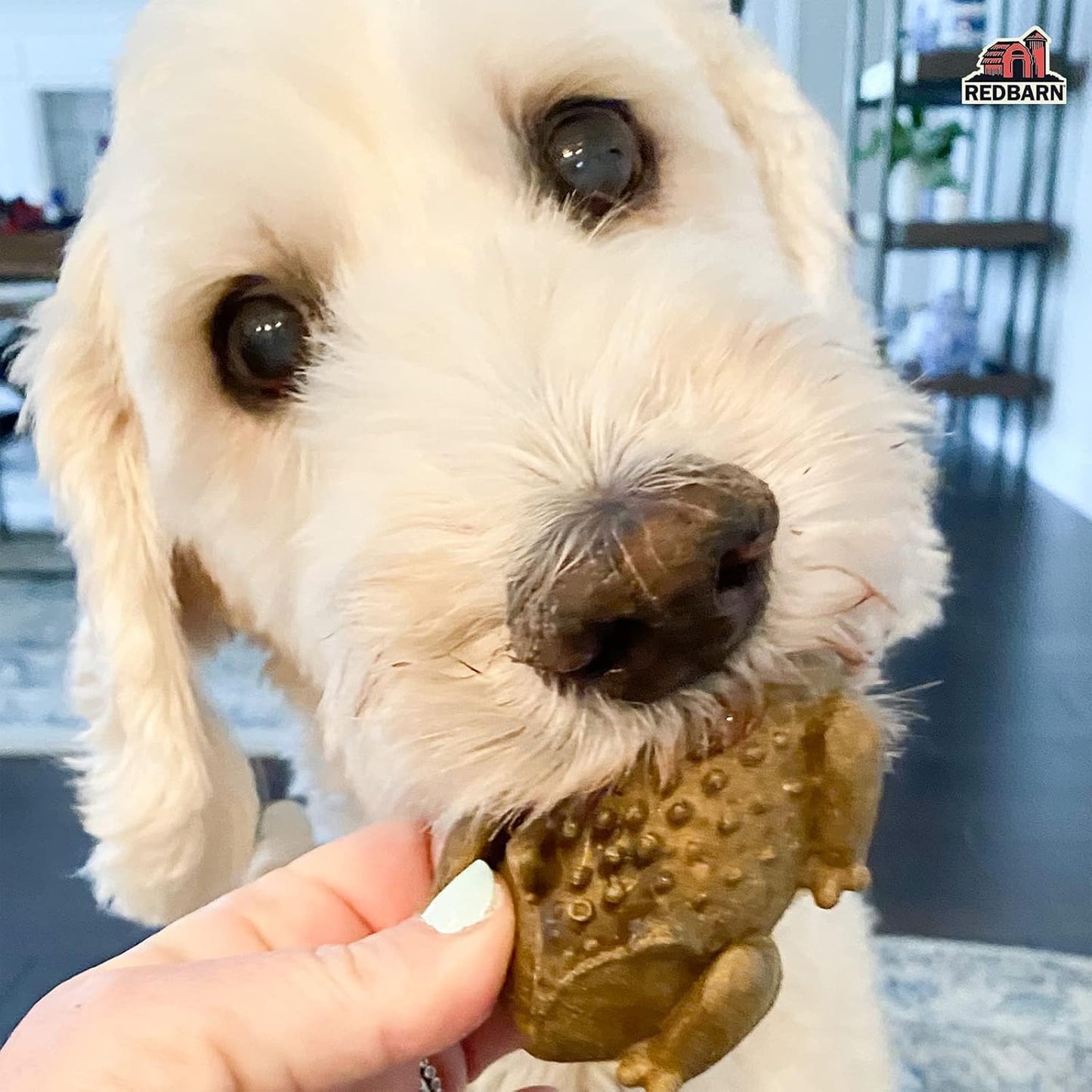 Redbarn Chew-A-Bulls, 12 Pack – Medium Toad Shape Dog Dental Treats – Daily Oral Care with Fun Ridges & Grooves, All Natural Ingredients, Highly Digestible Chews & Low in Fat