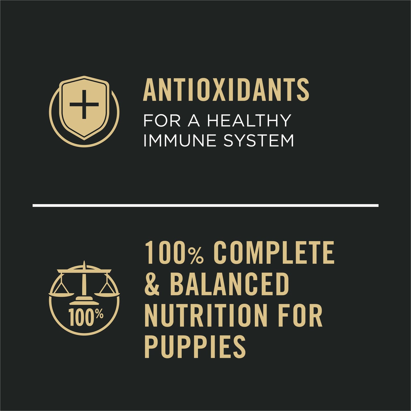 Purina Pro Plan Sport High Protein Puppy Food Beef & Rice Entree Wet Formula - (Pack of 12) 13 oz. Cans