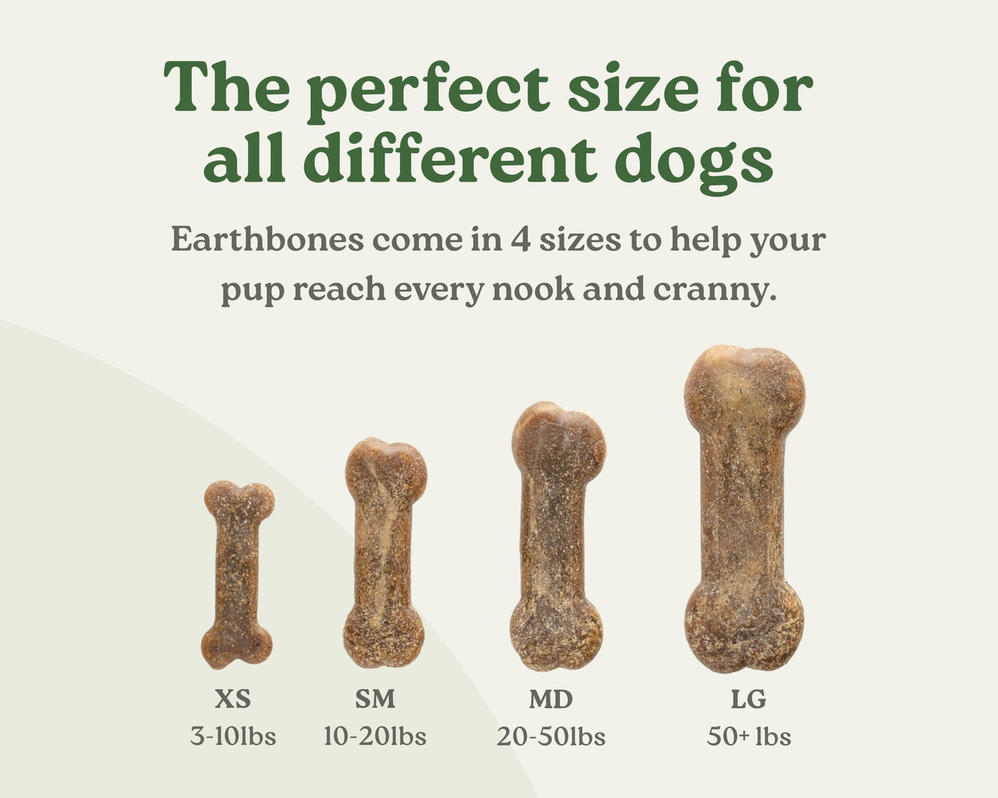 Earthbones Dental Chews for Dogs 20-50lbs, 30 Bones