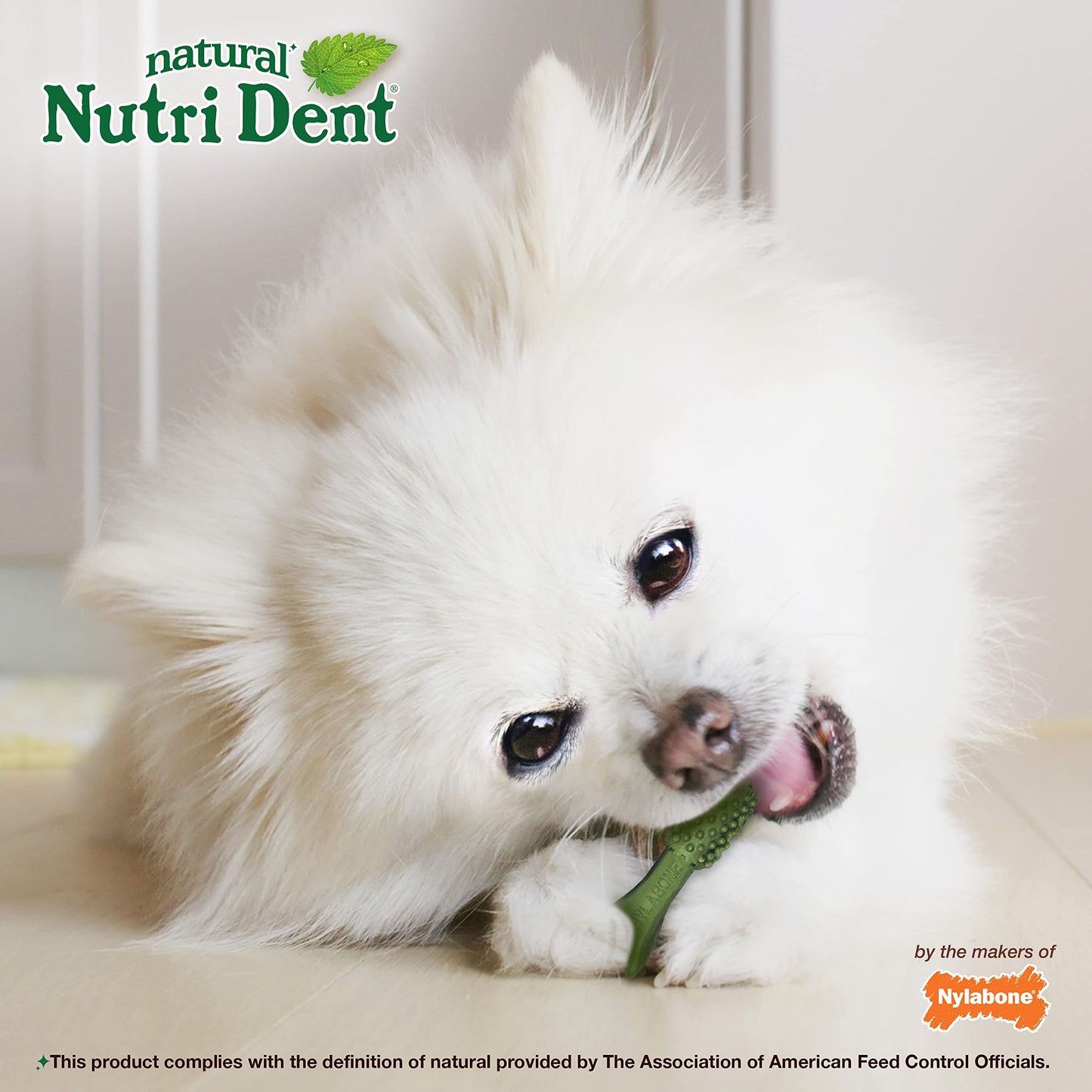 Nylabone Nutri Dent Dog Dental Chews - Natural Dog Teeth Cleaning & Breath Freshener - Dental Treats for Dogs - Fresh Breath Flavor, Mini (160 Count)