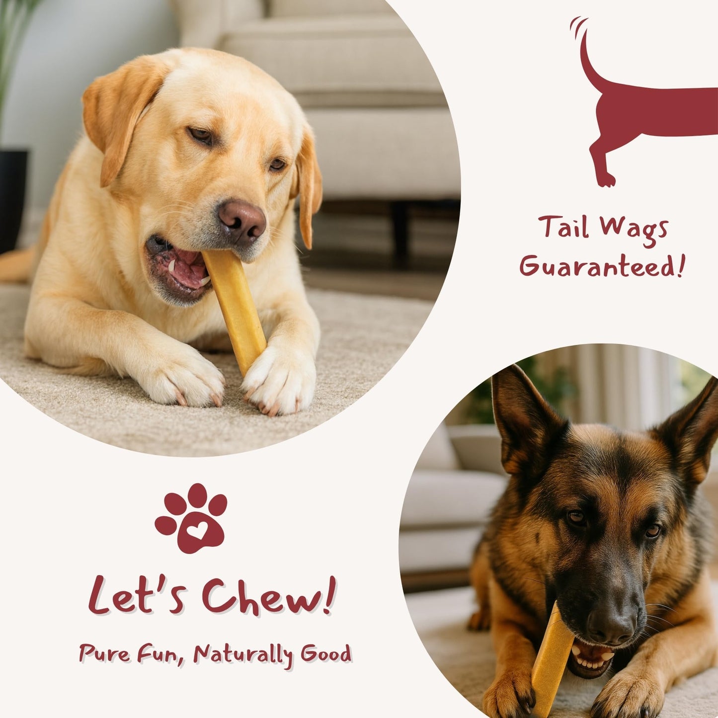 Majestic Pet Yak Cheese Himalayan Dog Chews - Yak Chews Dog Chew Bones - Natural Himalayan Cheese Sticks & Long Lasting Chew Treats for Puppies - Dental & Bone Support, Large, 1 Pack