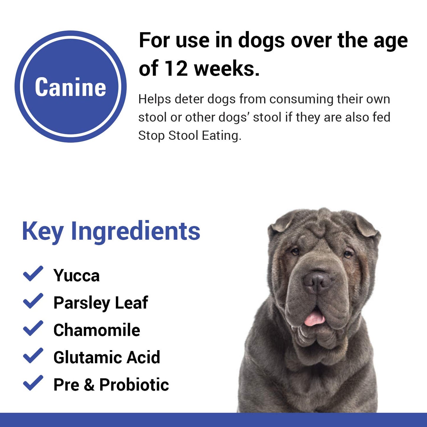 Vet Classics Stop Stool Eating Pet Health Supplement for Dogs – Dog Breath Freshener – Stops Dogs from Eating Stool – Enzymes, Probiotics – 60 Chewable Tablets