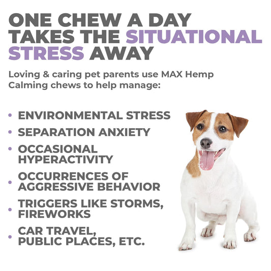 Mighty Petz MAX Hemp Calming Chews for Dogs - Dog Anxiety Relief with Melatonin + Hemp Oil. Dog Calming Treats, Calming Dog Chews, Advanced Pet Composure and Sleep Support