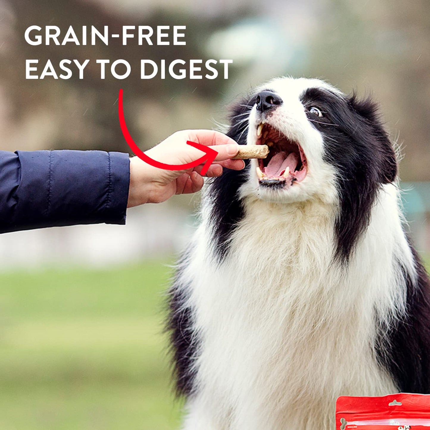 Stella & Chewy's Freeze-Dried Raw Wild Weenies Dog Treats - High-Protein Training Treats for Dogs & Puppies - All-Natural Bacon Recipe with 95% Meat & Organs - USA Made - 11 oz Bag