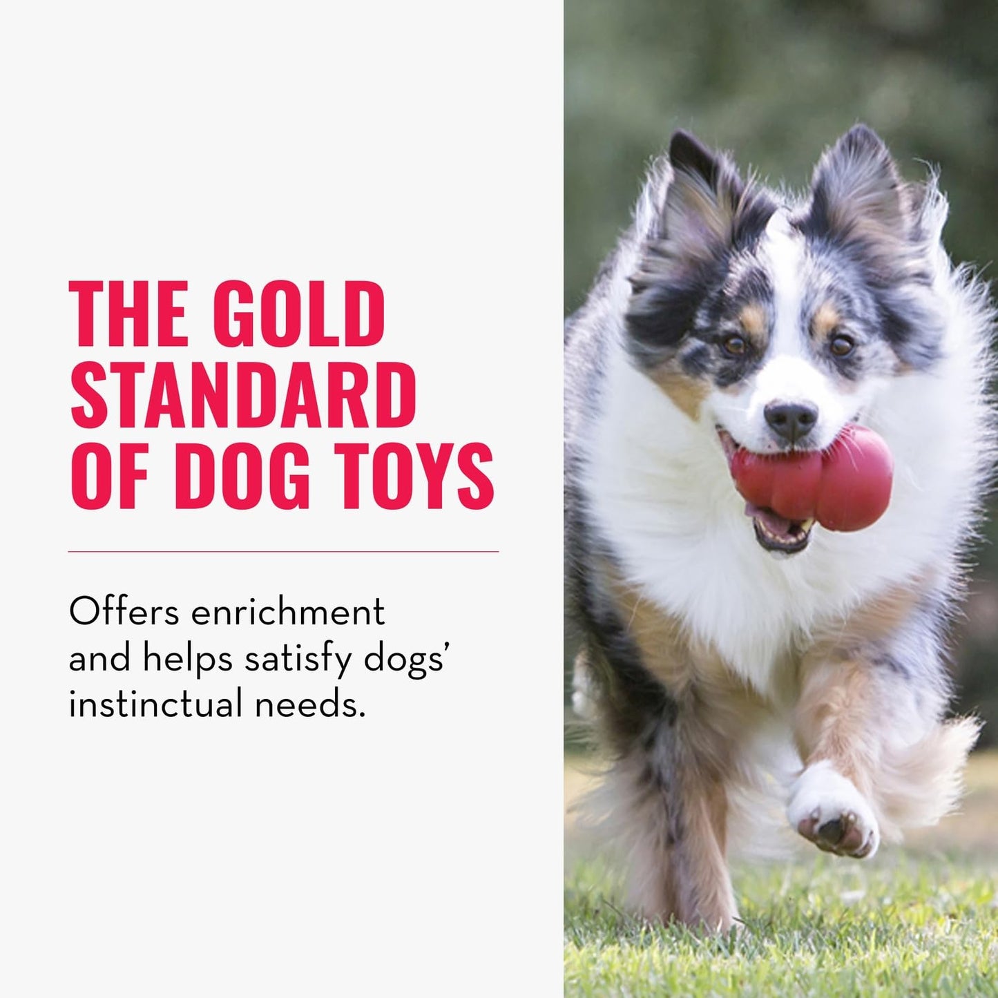 KONG Classic Stuffable Dog Toy - Fetch & Chew Toy for Dogs - Treat-Filling Capabilities & Erratic Bounce for Extended Play Time - Durable Natural Rubber Material - for Large Dogs