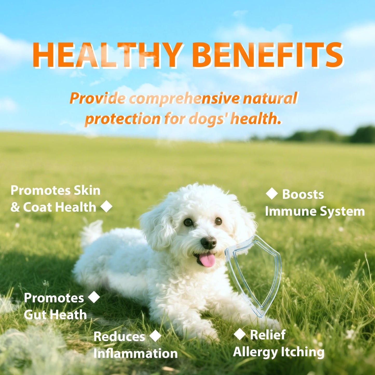 Dog Allergy Relief Chews - 180 Dog Allergy Chews - Itch Relief for Dogs, Dry Skin & Coat Supplement - Immune Health