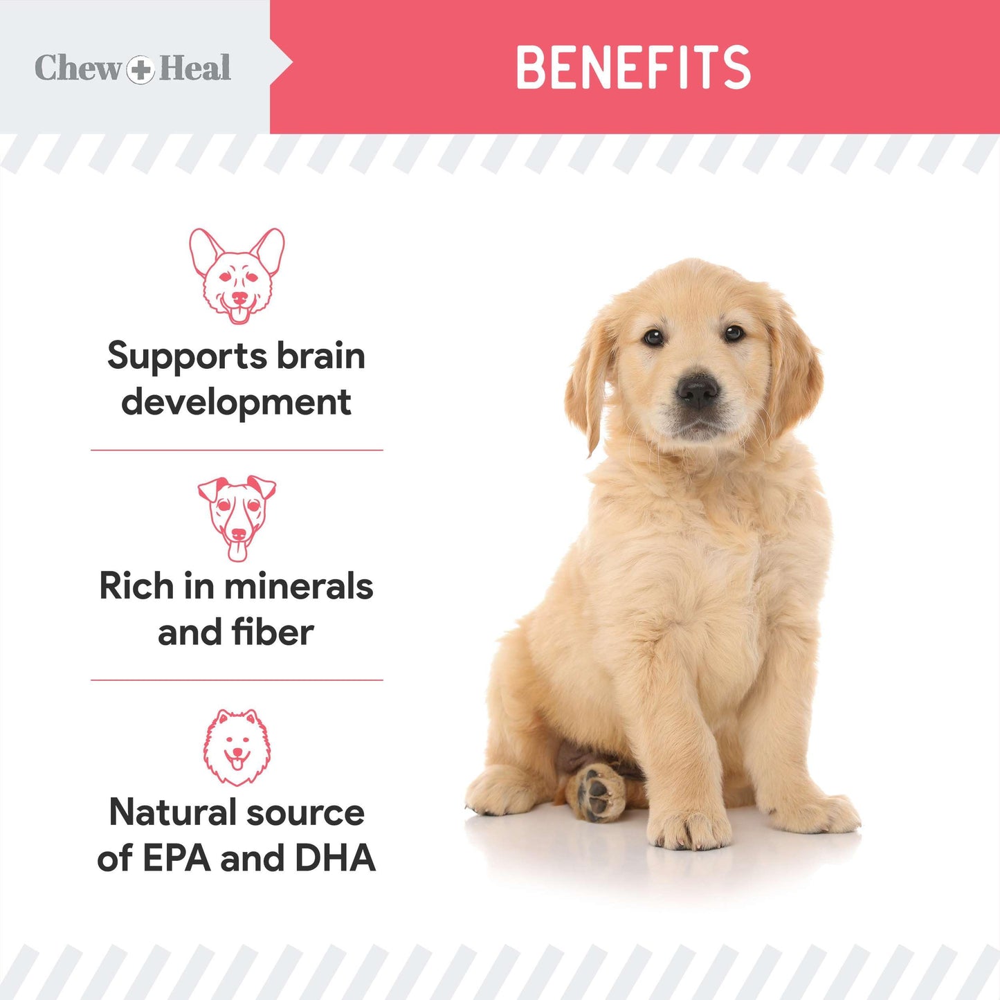 Dog Salmon Jerky for Puppies - 12 oz of Wild Caught Alaskan Salmon Jerky for Puppy Development with Chickpeas, Carrots, Sweet Potato, and Fruit - Made in The USA