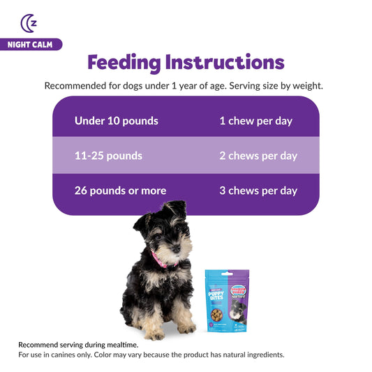 Snuggle Puppy Night Calm Puppy Bites with Melatonin, Chamomile & Ashwagandha - Calming Treats for Dogs - Melatonin for Dogs to Support Restfulness & Sleep - 60 Soft Chew Dog Treats