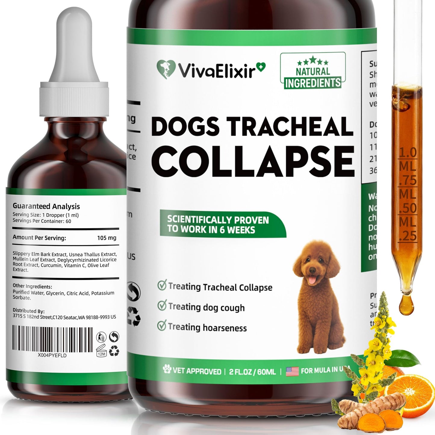 Dog Cough Treatment Liquid – Tracheal Collapse Support for Dogs – Herbal Drops with Slippery Elm, Mullein & Olive Leaf – Helps Soothe Throat, Calm Coughing & Support Breathing – 120g