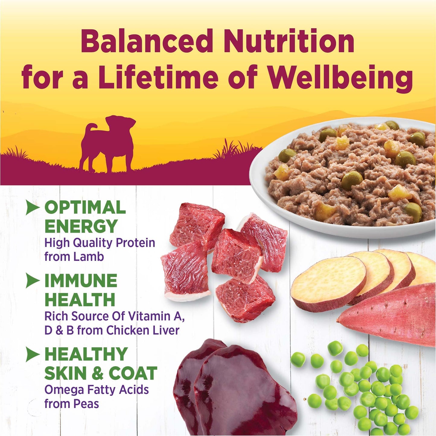 Wellness Petite Entrées Casserole with Roasted Lamb, Peas & White Sweet Potatoes, 3-Ounce Cup (Pack of 12)