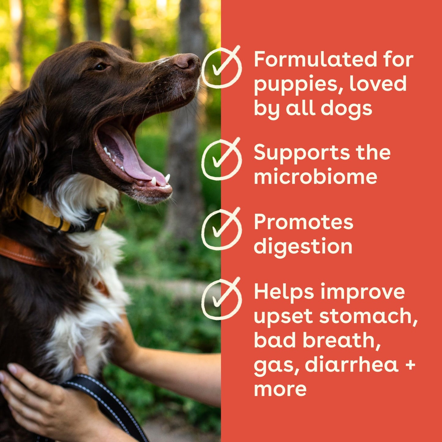 Pupford Gut Health & Immunity Supplement for Puppies and Adult Dogs, Made in The USA, Vet Approved, No Artificial Flavors, Peanut Butter and Jelly, Net Wt. 6.3 oz (180g)