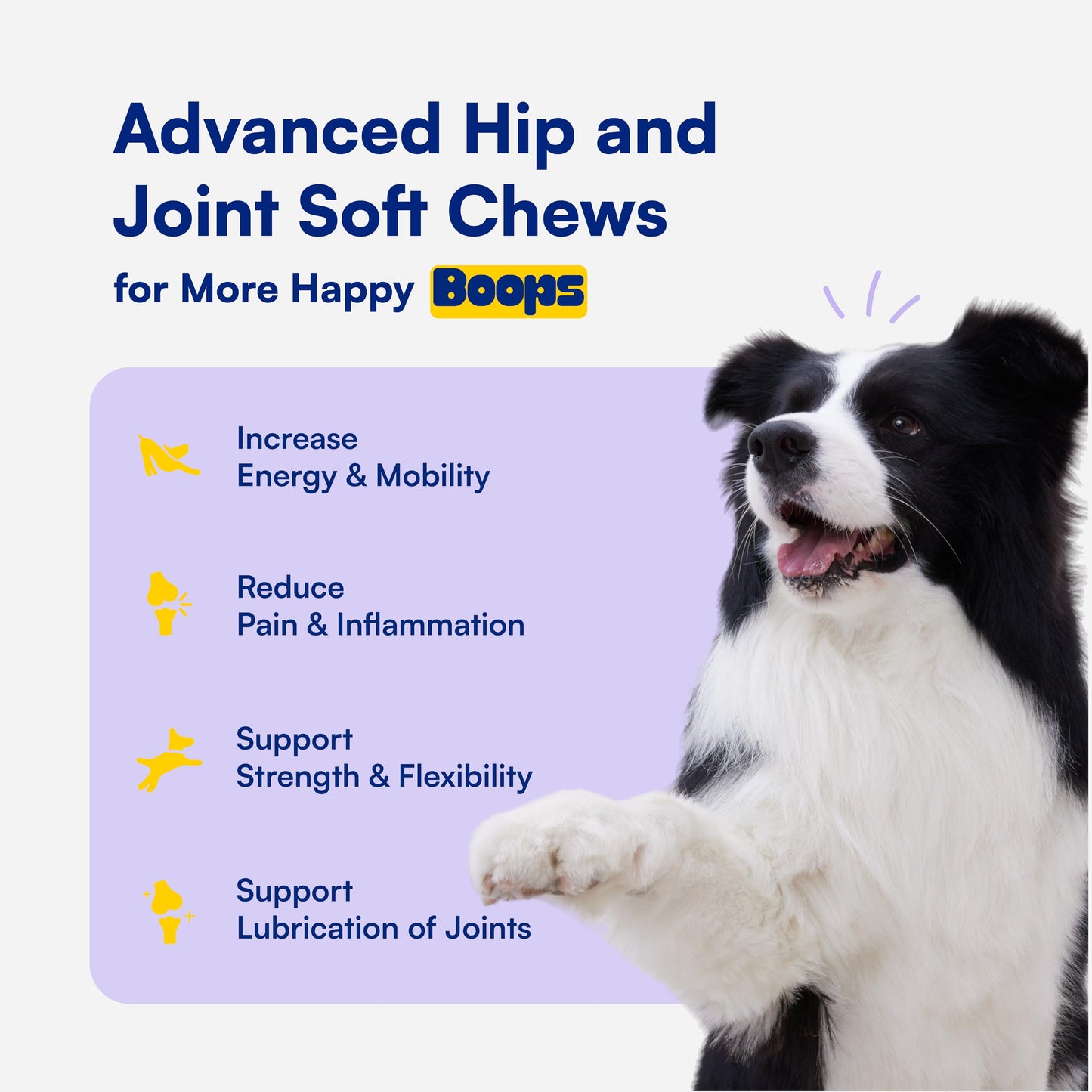 Advanced Hip & Joint Supplement for Dogs - 90 Soft Chews with Glucosamine, MSM, Chondroitin & Multivitamins - Helps Mobility, Flexibility & Arthritis Relief - Made with Pasture-Raised Chicken