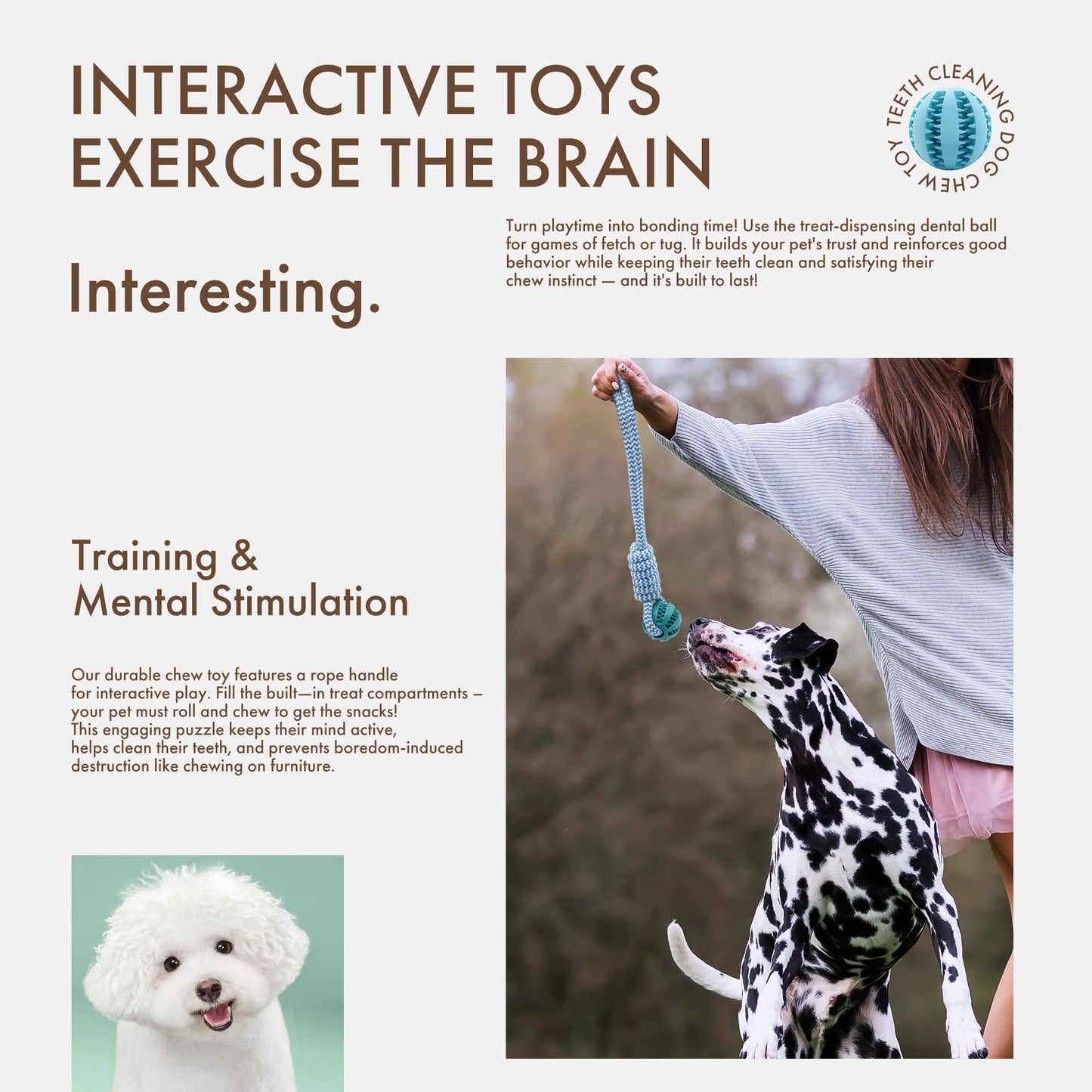 Mira's Pocket Indestructible Chew Toy for Aggressive Chewers - Durable Rubber Dog Teething Ball with Rope, Boredom Relief Puppy Toys (Blue, Small)