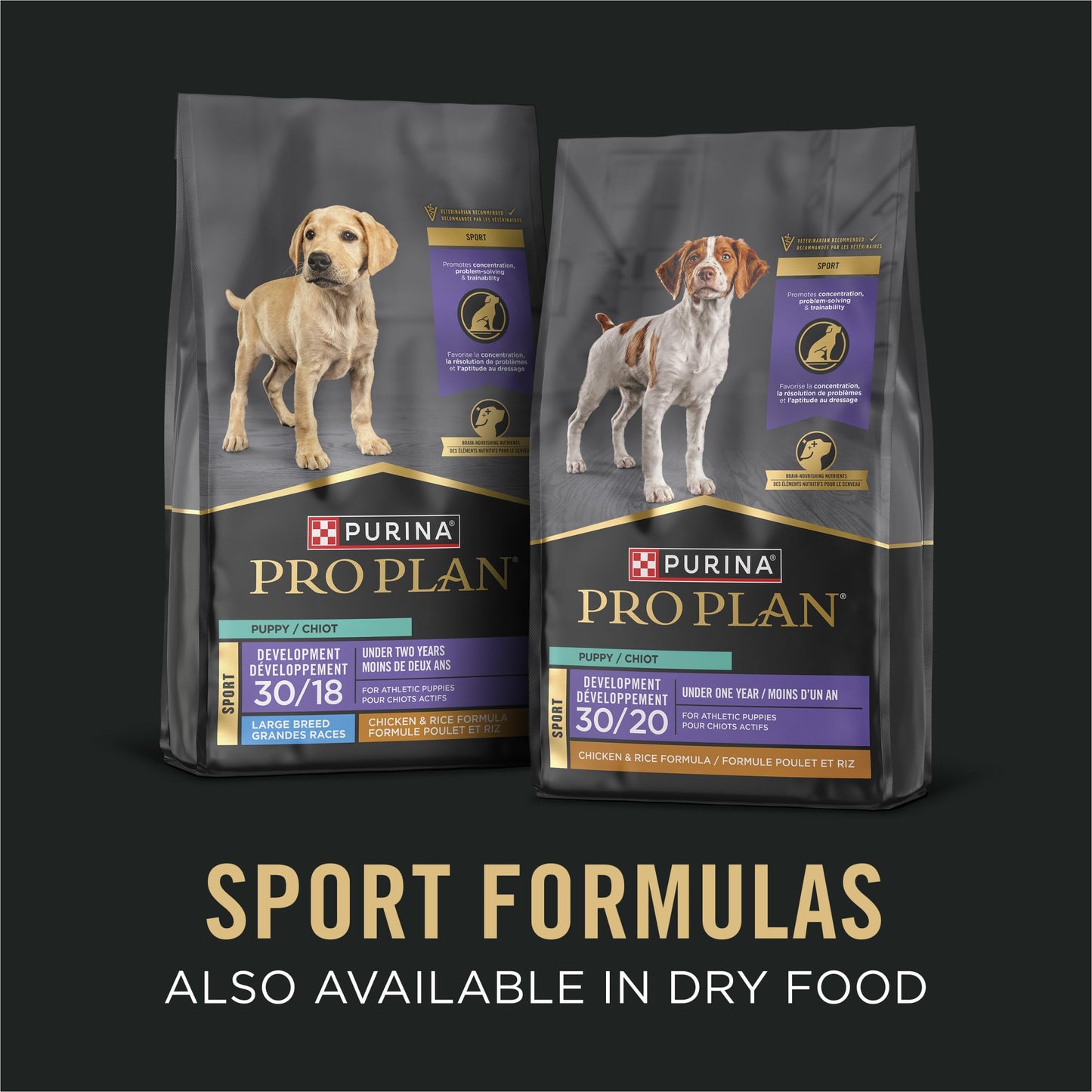 Purina Pro Plan Sport High Protein Puppy Food Beef & Rice Entree Wet Formula - (Pack of 12) 13 oz. Cans