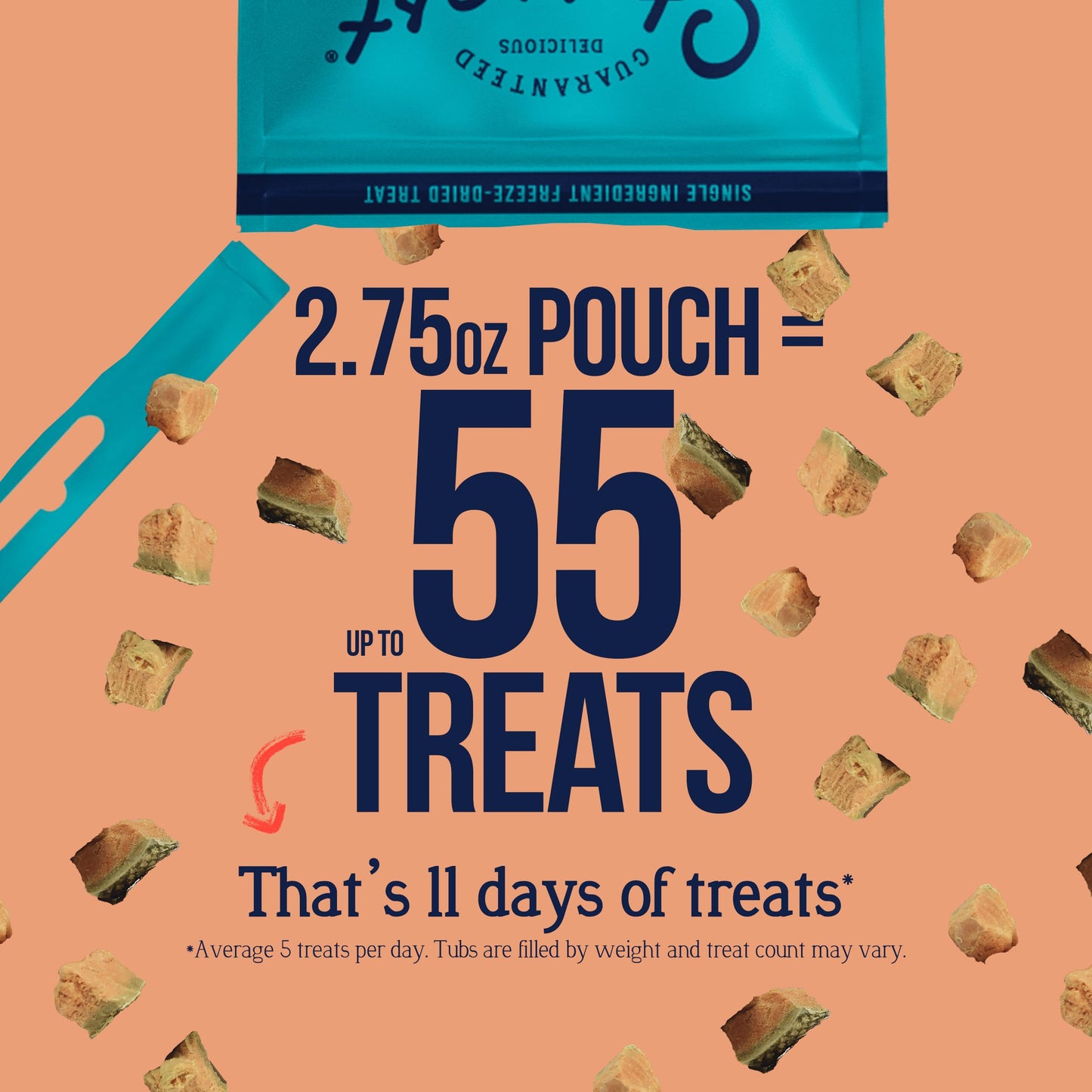 Stewart Single Ingredient Freeze Dried Raw Dog Treats, Wild Salmon, 2.75 Ounce, Approx. 55 Pieces per Resealable Pouch, Training Treats or Meal Topper, High Protein, Grain Free, Gluten Free