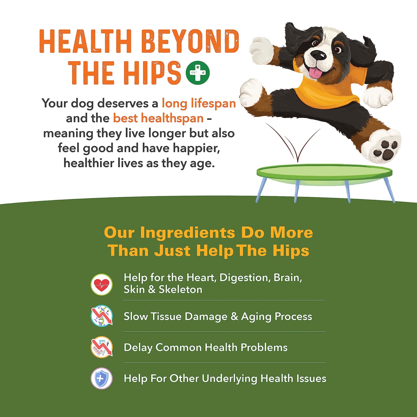 Bernie's Healthy HIPS - Daily Dog Hip & Joint Supplement - 90 Soft Chews - Reduce Pain, Encourage Mobility, Slow Damage, Repair and Rebuild HIPS & Joint Tissues