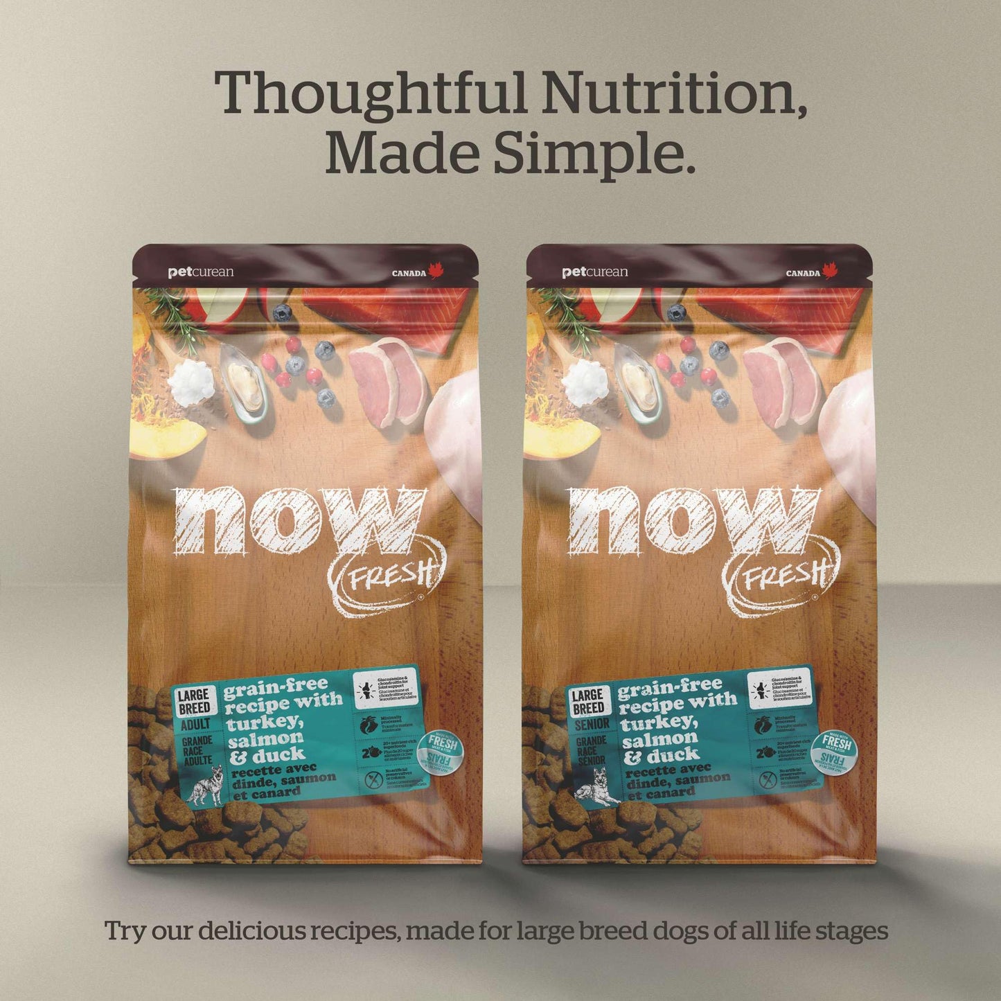 Now Fresh Grain-Free Large Breed Dry Puppy Food with Turkey, Salmon & Duck, Healthy Kibble for Growing Dogs with Real Meat & Fish, Chicken-Free, Pumpkin & Probiotics for Good Digestion, 25 lb Bag