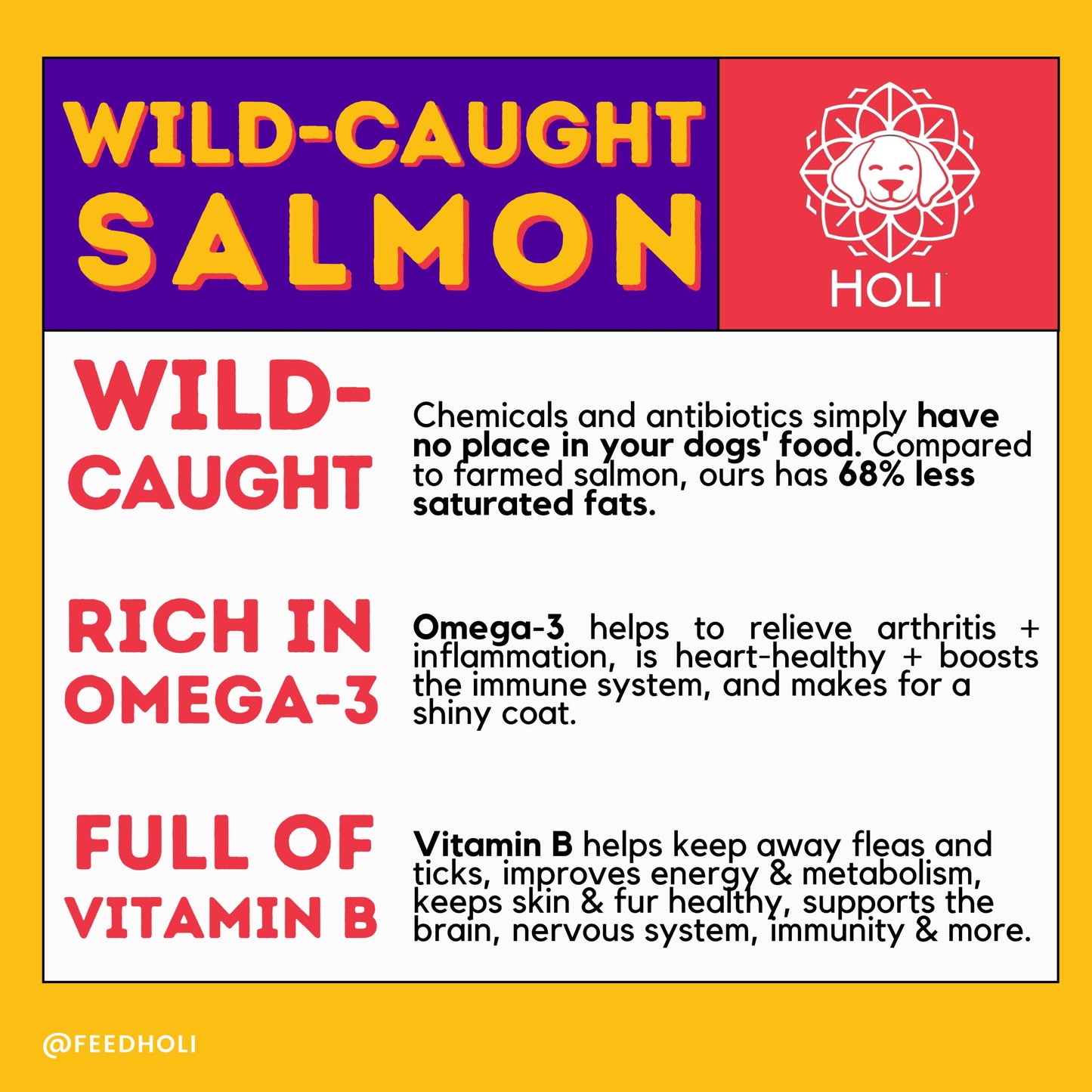 HOLI Freeze Dried Salmon Dog Treats - with Omega 3 and 6 Fish Oil - All Natural - Human Grade - Wild Caught Salmon with Skin - Made in USA - Grain Free - Diabetic Friendly