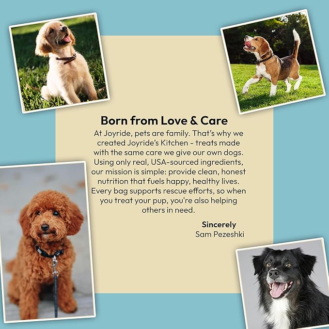 Joyride's Kitchen Freeze-Dried Chicken Liver Dog Treats, Single Ingredient, All-Natural, Protein-Rich Dog Training Treats, Made in USA - Perfect for Picky Eaters, Supports Rescue Dogs, Pack of 2