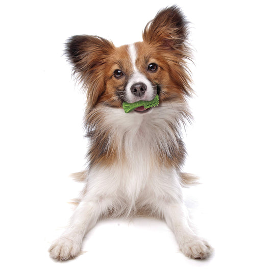 Nylabone Nutri Dent Dog Dental Chews - Natural Dog Teeth Cleaning & Breath Freshener - Dental Treats for Dogs - Fresh Breath Flavor, Mini (160 Count)