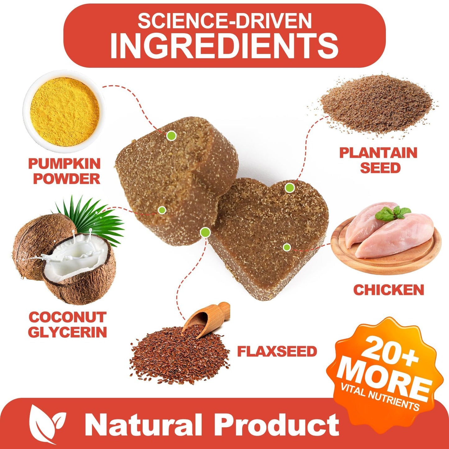 Bryozoa Probiotics for Dogs - Dog Probiotic Chews for Digestive Health, Gut Support, & Immune Boost - Dog Probiotics with Digestive Enzymes & Prebiotics - 120 Probiotic Chews for Dogs