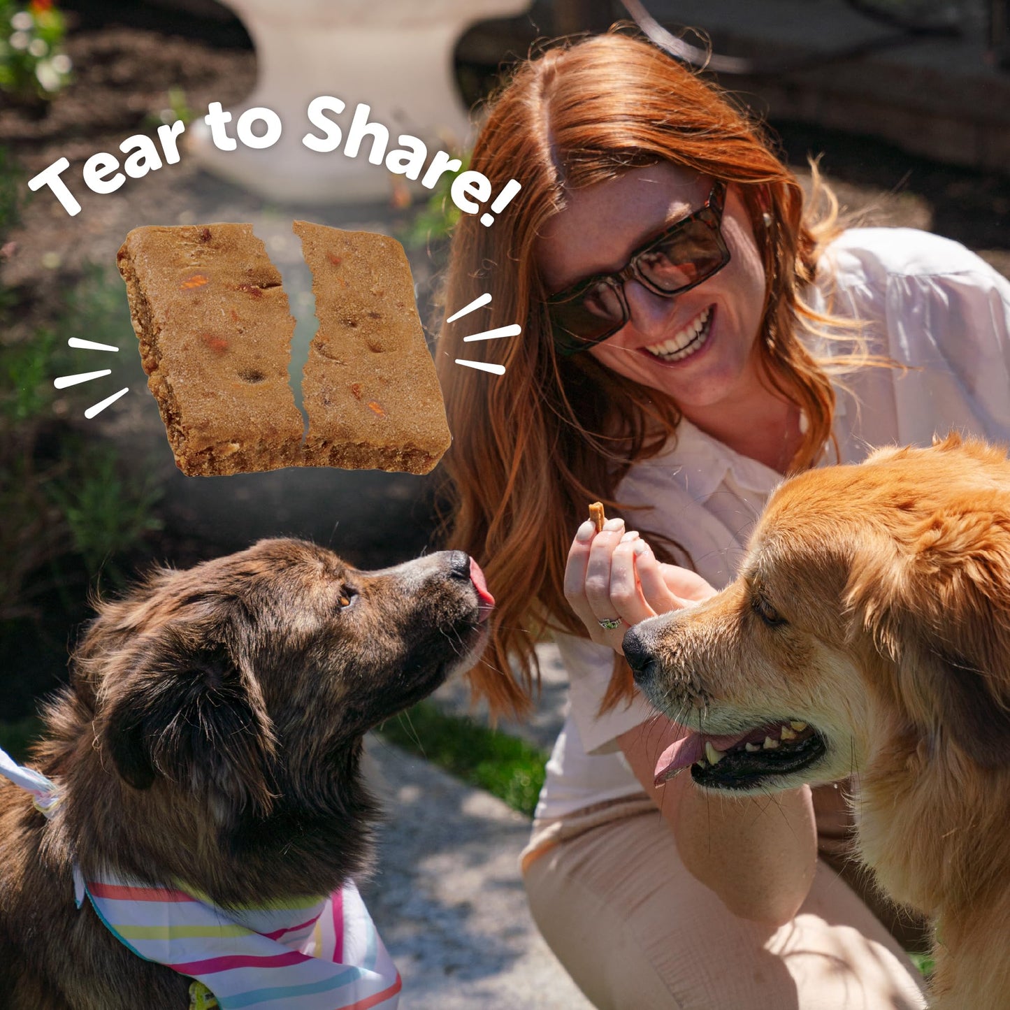 Wellness Rewarding Life Dog Treats, Training Treat, Grain Free, Soft Lamb & Salmon (6 Ounce Bag)