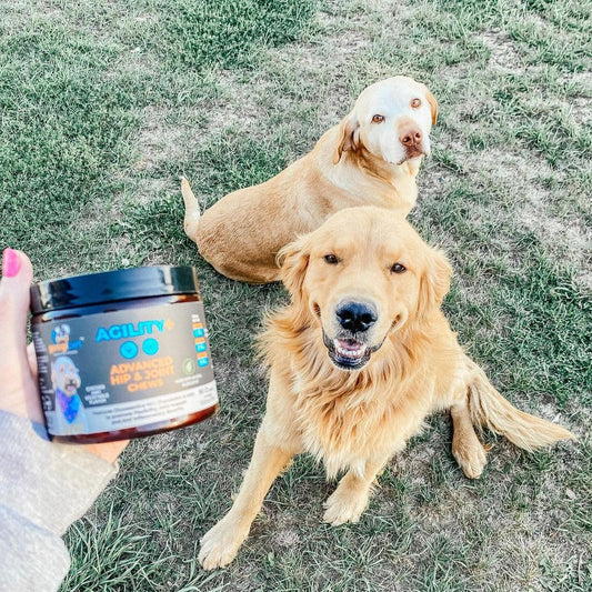 Googipet Hip and Joint Supplement for Dogs - Glucosamine for Dogs – Soft Chews w/Green Lipped Mussels, Turmeric, & Collagen for Arthritis & Mobility for All Ages & Breeds
