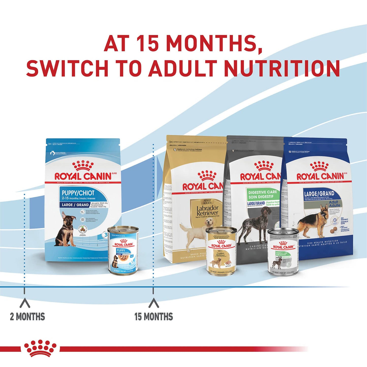 Royal Canin Size Health Nutrition Large Puppy Thin Slices in Gravy Wet Dog Food, 13 oz can (12-count)