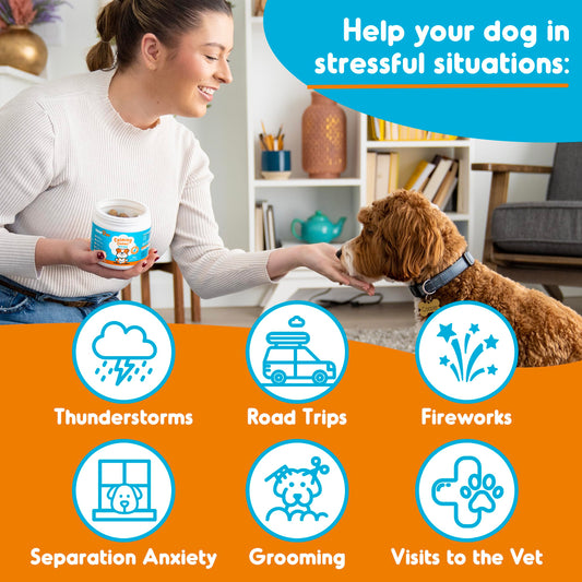 INNER PAW Hemp Calming Chews for Dogs - Dog Calming Chews - Anxiety Relief Treats - Chamomile - Hemp Oil - Calming Aid - Stress - Sleep - Separation Anxiety - Travel - Natural Dog Calming Treats - 60